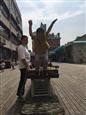人气：457  上传时间：2019/5/24 7:38:57
