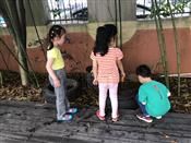 人气：250  上传时间：2019/5/24 12:18:19