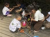 人气：225  上传时间：2019/5/24 12:18:21