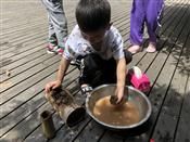 人气：214  上传时间：2019/5/24 12:18:22