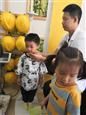 人气：489  上传时间：2019/5/30 14:27:52