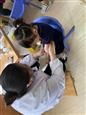 人气：484  上传时间：2019/5/31 10:44:23
