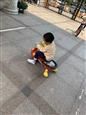 人气：467  上传时间：2019/5/31 10:47:40