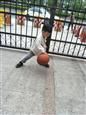 人气：517  上传时间：2019/5/31 11:54:31