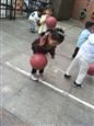 人气：566  上传时间：2019/5/31 11:54:34