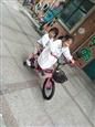 人气：530  上传时间：2019/5/31 11:54:45