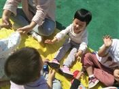 人气：523  上传时间：2019/5/31 11:54:55