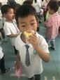 人气：558  上传时间：2019/6/5 17:07:06
