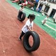 人气：473  上传时间：2019/6/5 17:36:09