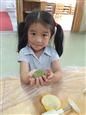 人气：418  上传时间：2019/6/6 11:15:59