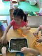 人气：503  上传时间：2019/6/6 12:49:52