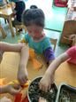 人气：468  上传时间：2019/6/6 12:49:52
