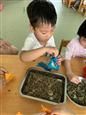 人气：521  上传时间：2019/6/6 12:49:53