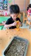 人气：522  上传时间：2019/6/6 12:49:55