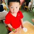 人气：530  上传时间：2019/6/11 18:08:15