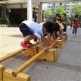 人气：481  上传时间：2019/6/13 12:53:53