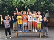 人气：510  上传时间：2019/6/14 16:51:27