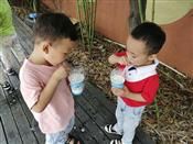 人气：536  上传时间：2019/6/14 11:55:13