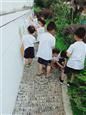人气：547  上传时间：2019/6/17 14:04:47