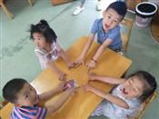 人气：485  上传时间：2019/6/20 8:55:57