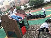 人气：499  上传时间：2019/6/20 9:01:32