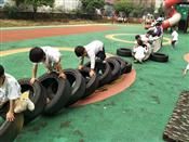 人气：494  上传时间：2019/6/20 9:01:34