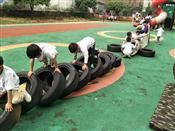 人气：458  上传时间：2019/6/20 9:01:35