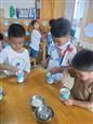 人气：460  上传时间：2019/6/21 12:06:50
