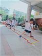 人气：555  上传时间：2019/6/24 14:00:51