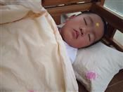 人气：485  上传时间：2019/9/2 16:36:08