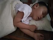 人气：499  上传时间：2019/9/2 16:36:10