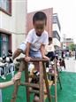 人气：511  上传时间：2019/9/5 14:41:59