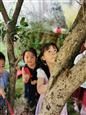 人气：349  上传时间：2019/9/12 13:06:28