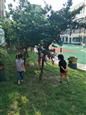 人气：467  上传时间：2019/9/12 15:31:44