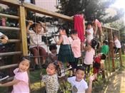 人气：475  上传时间：2019/9/12 12:31:11