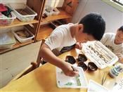 人气：268  上传时间：2019/9/12 12:59:36