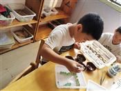 人气：267  上传时间：2019/9/12 12:59:40