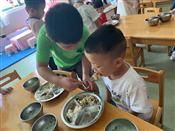 人气：225  上传时间：2019/9/18 14:35:39