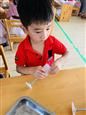 人气：498  上传时间：2019/9/19 16:35:31