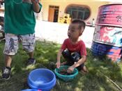 人气：470  上传时间：2019/9/19 12:46:29