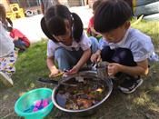 人气：449  上传时间：2019/9/19 12:46:31