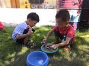 人气：437  上传时间：2019/9/19 12:46:33