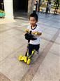 人气：538  上传时间：2019/9/29 12:32:16