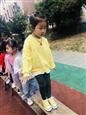 人气：517  上传时间：2019/10/10 13:00:23