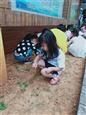 人气：524  上传时间：2019/10/10 13:04:28