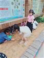 人气：518  上传时间：2019/10/10 13:04:32