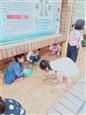 人气：523  上传时间：2019/10/10 13:04:32