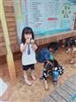 人气：556  上传时间：2019/10/10 13:04:33