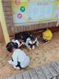 人气：535  上传时间：2019/10/10 13:04:33