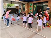 人气：527  上传时间：2019/10/11 13:32:00